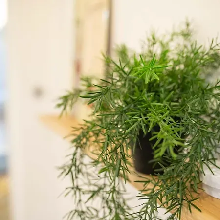 Loge Bleue De Thermal- Artem - Parc Ste-marie *